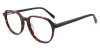 Picture of Fioris Glasses