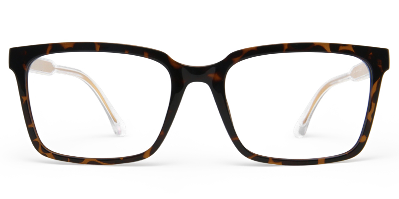 Jalori Glasses Tortoise