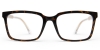 Picture of Jalori Glasses