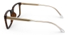 Picture of Jalori Glasses