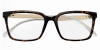 Picture of Jalori Glasses