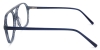Picture of Lumora Glasses