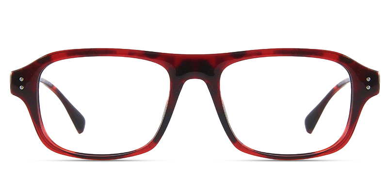Derelia Glasses Tortoise